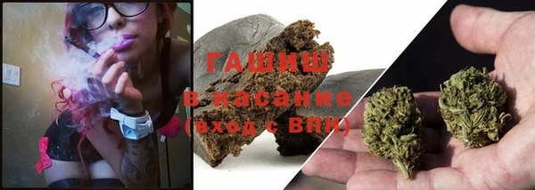 стаф Баксан