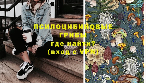 стаф Баксан