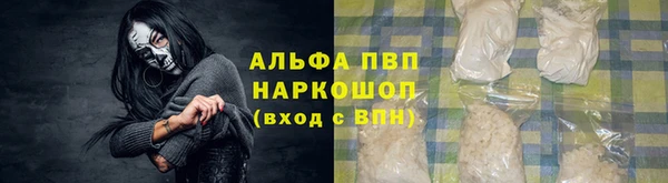 стаф Баксан