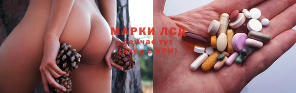 ПСИЛОЦИБИНОВЫЕ ГРИБЫ Коряжма