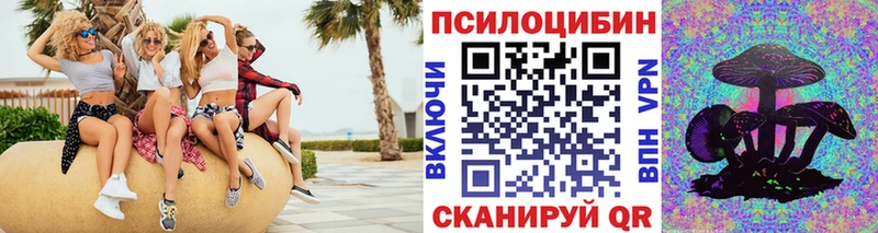 Псилоцибиновые грибы прущие грибы  как найти закладки  Нюрба 